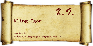 Kling Igor névjegykártya